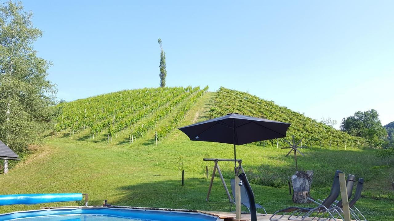 מלון ליוצכאך Weingut Lieschnegg מראה חיצוני תמונה